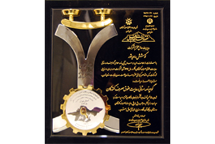 Consumer Rights Compliance Award – 2016